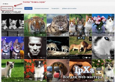 Новвя фоталерея для InstantCMS 1.10 и выше