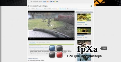 Шаблон InVideo 1.10.3